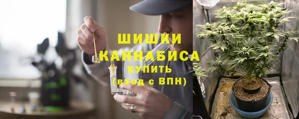 Альфа ПВП Лиски