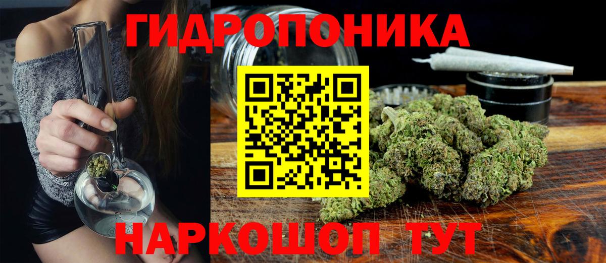 Конопля AK-47 Новый Уренгой
